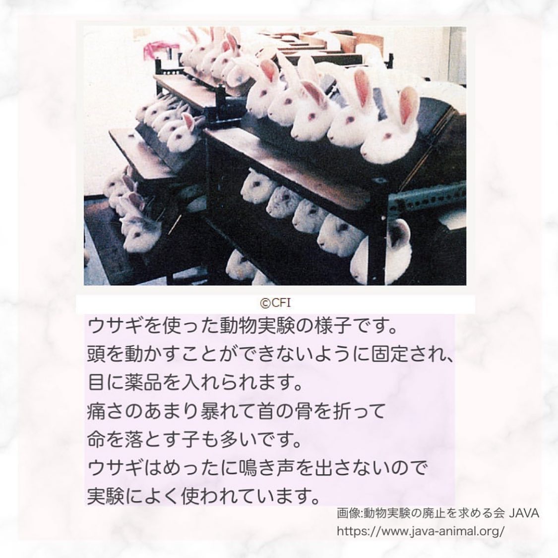 EDGEU ジェルネイルシール/EDGEU/ネイルシールを使ったクチコミ（3枚目）