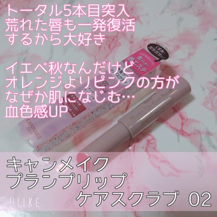 プランプリップケアスクラブ/キャンメイク/リップスクラブを使ったクチコミ(3枚目)