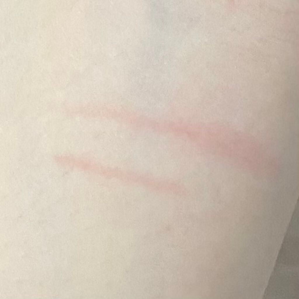 3wayスリムアイルージュライナー/キャンメイク/リキッドアイライナーを使ったクチコミ(2枚目)