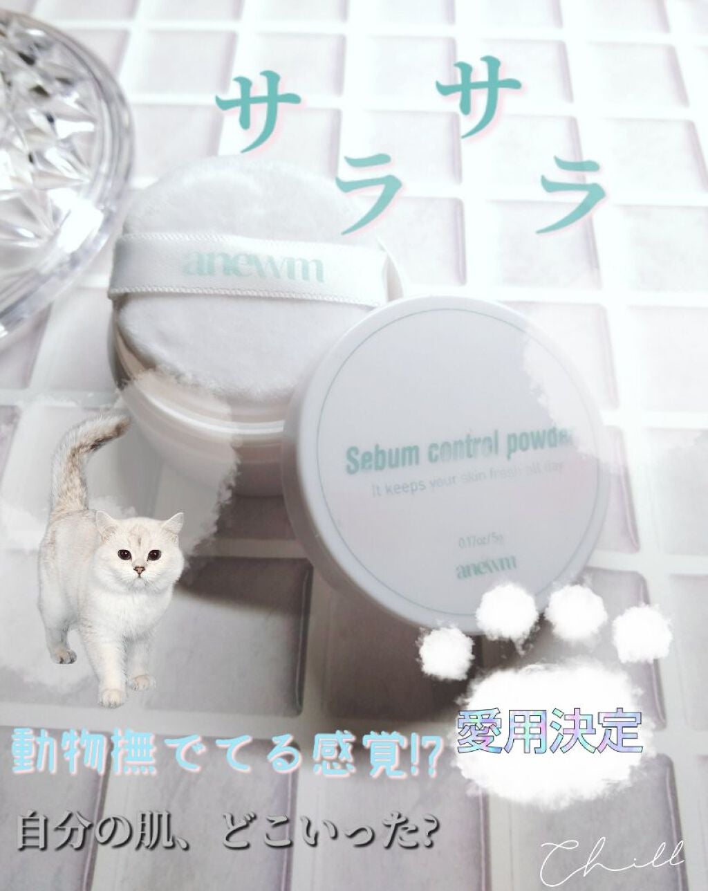 アニューム セバム コントロール パウダー/saat insight/ルースパウダーを使ったクチコミ(1枚目)