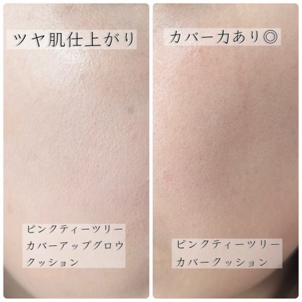 ピンクティーツリーカバークッション/APLIN/クッションファンデーションを使ったクチコミ(6枚目)