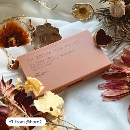 エテュセ アイエディション(カラーパレット)/ettusais/アイシャドウパレットを使ったクチコミ(9枚目)