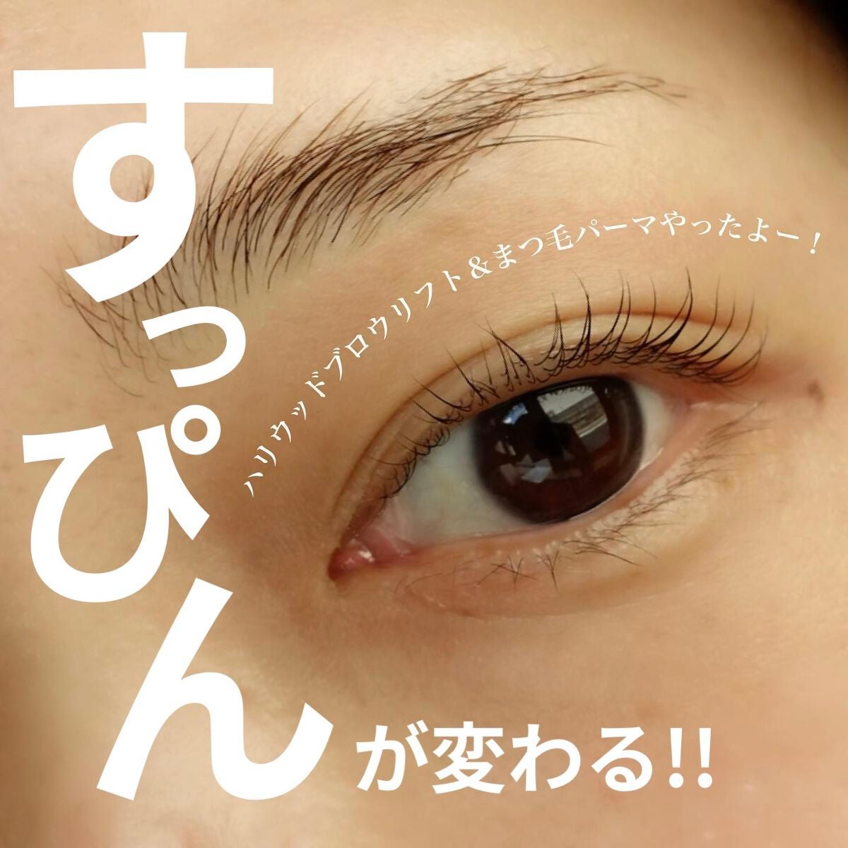 Anna on LIPS 「すっぴん見違える🥹//ハリウッドブロウリフト&まつげパーマの同..」(1枚目)