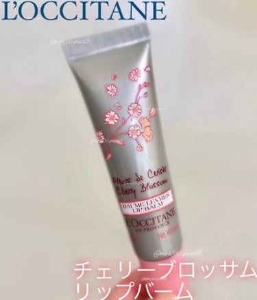 L'OCCITANE チェリーブロッサム リップバームのクチコミ「優しくずっと潤してくれるベールに包まれているようなリップバーム
※📷２枚目唇の写真あります。
.....」（3枚目）