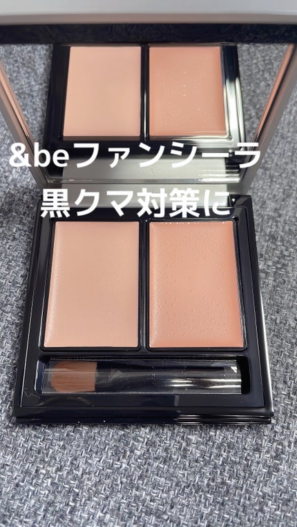 &be ファンシーラー/&be/パレットコンシーラーを使ったクチコミ(1枚目)