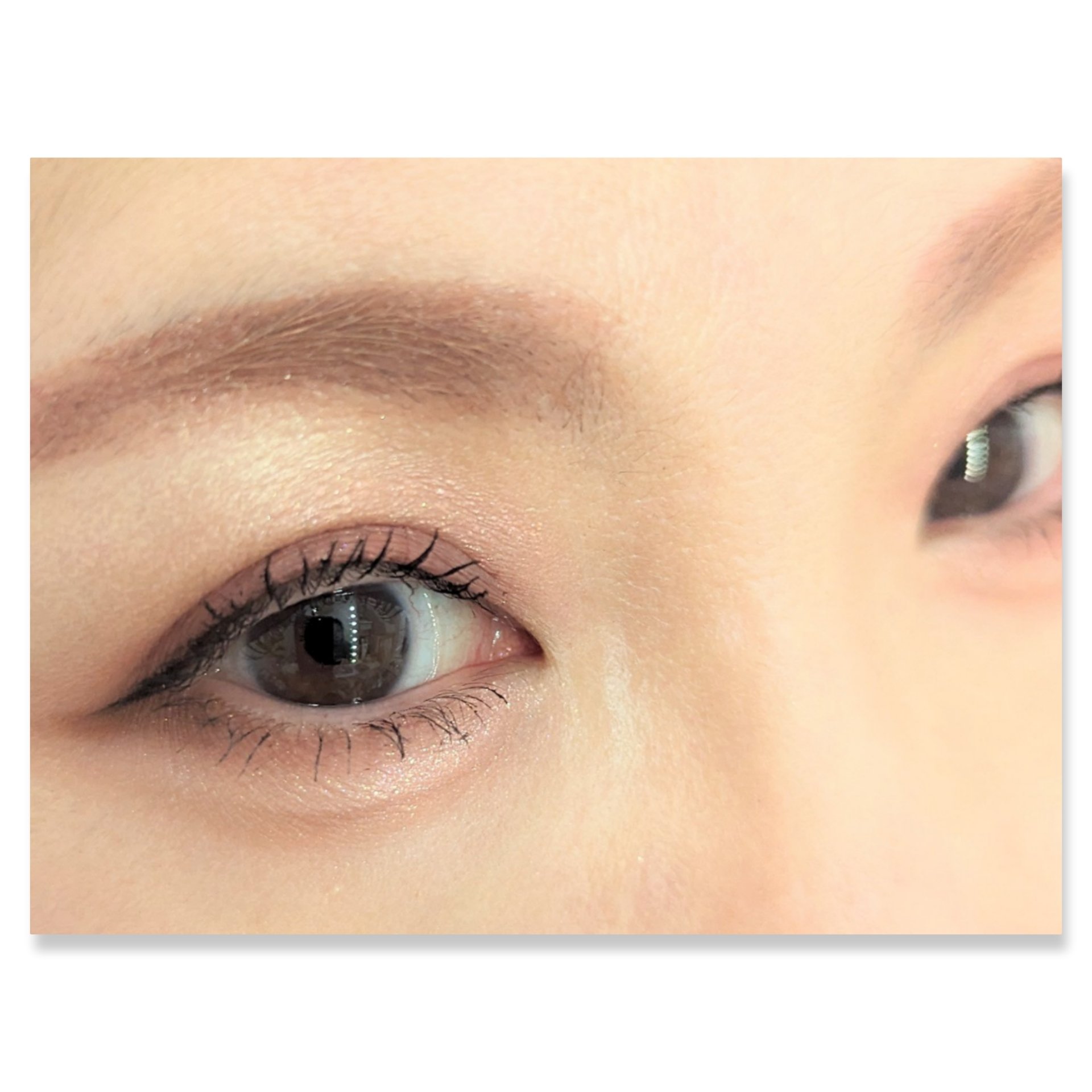 プロ アイパレット ミニ 02 ROZY HAZE/CLIO/アイシャドウパレットを使ったクチコミ（2枚目）