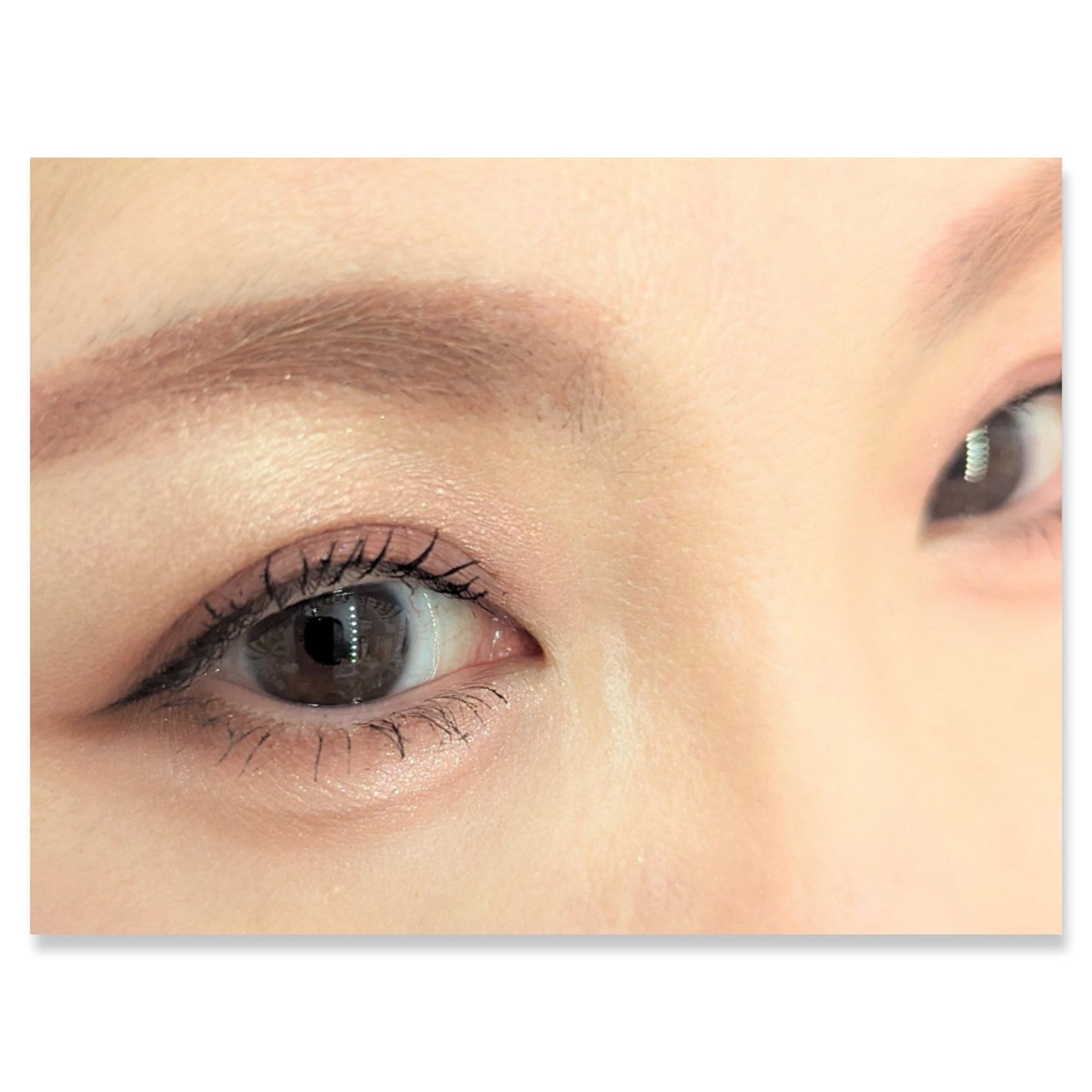 プロ アイパレット ミニ/CLIO/アイシャドウパレットを使ったクチコミ(2枚目)