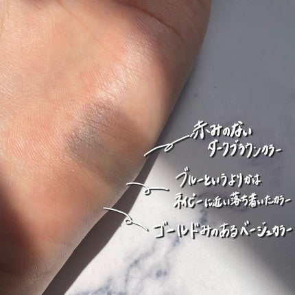 ヴィセ リシェ アイブロウパウダー/Visée/パウダーアイブロウを使ったクチコミ(2枚目)