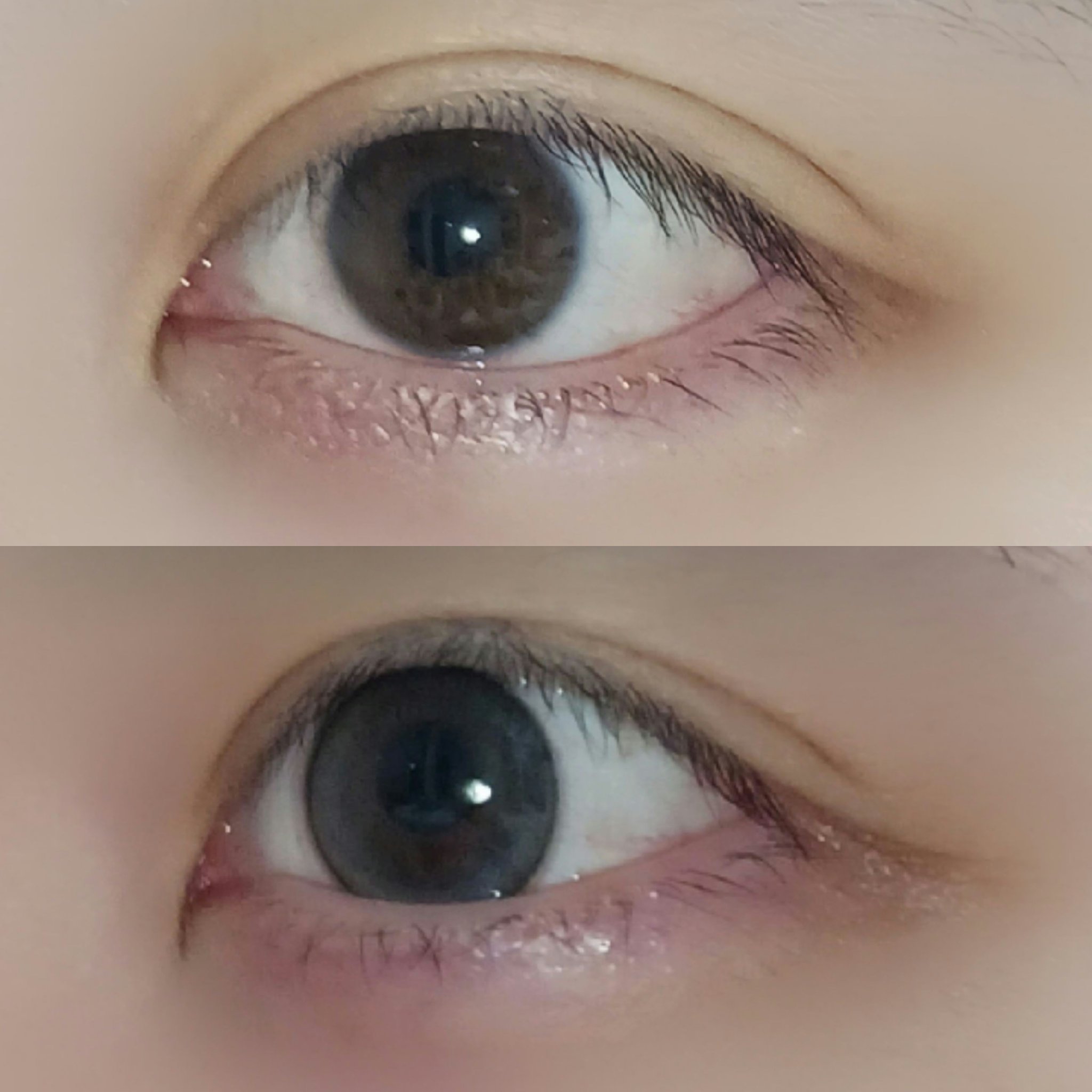 MOLAK 1month ドーリッシュグレー/MOLAK/１ヶ月（１MONTH）カラコンを使ったクチコミ（2枚目）