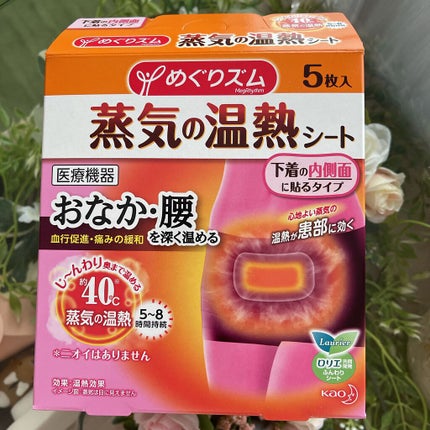 蒸気の温熱シート 下着の内側面に貼るタイプ/めぐりズム/その他を使ったクチコミ(1枚目)