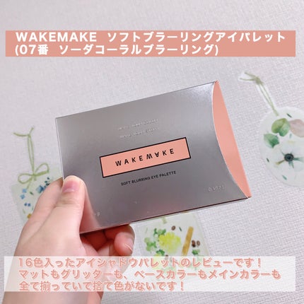 ソフトブラーリングアイパレット/wakemake/アイシャドウパレットを使ったクチコミ(2枚目)