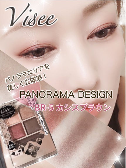 パノラマデザイン アイパレット/Visée/アイシャドウパレットを使ったクチコミ(1枚目)