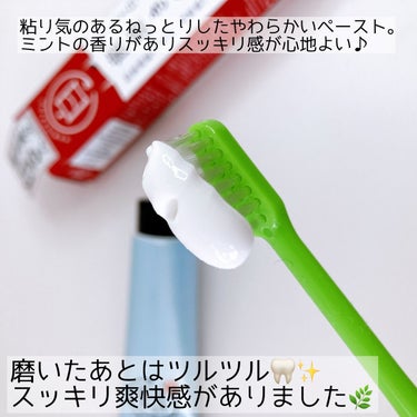 歯磨き堂 薬用ホワイトニングペースト/歯磨き堂/歯磨き粉を使ったクチコミ（3枚目）