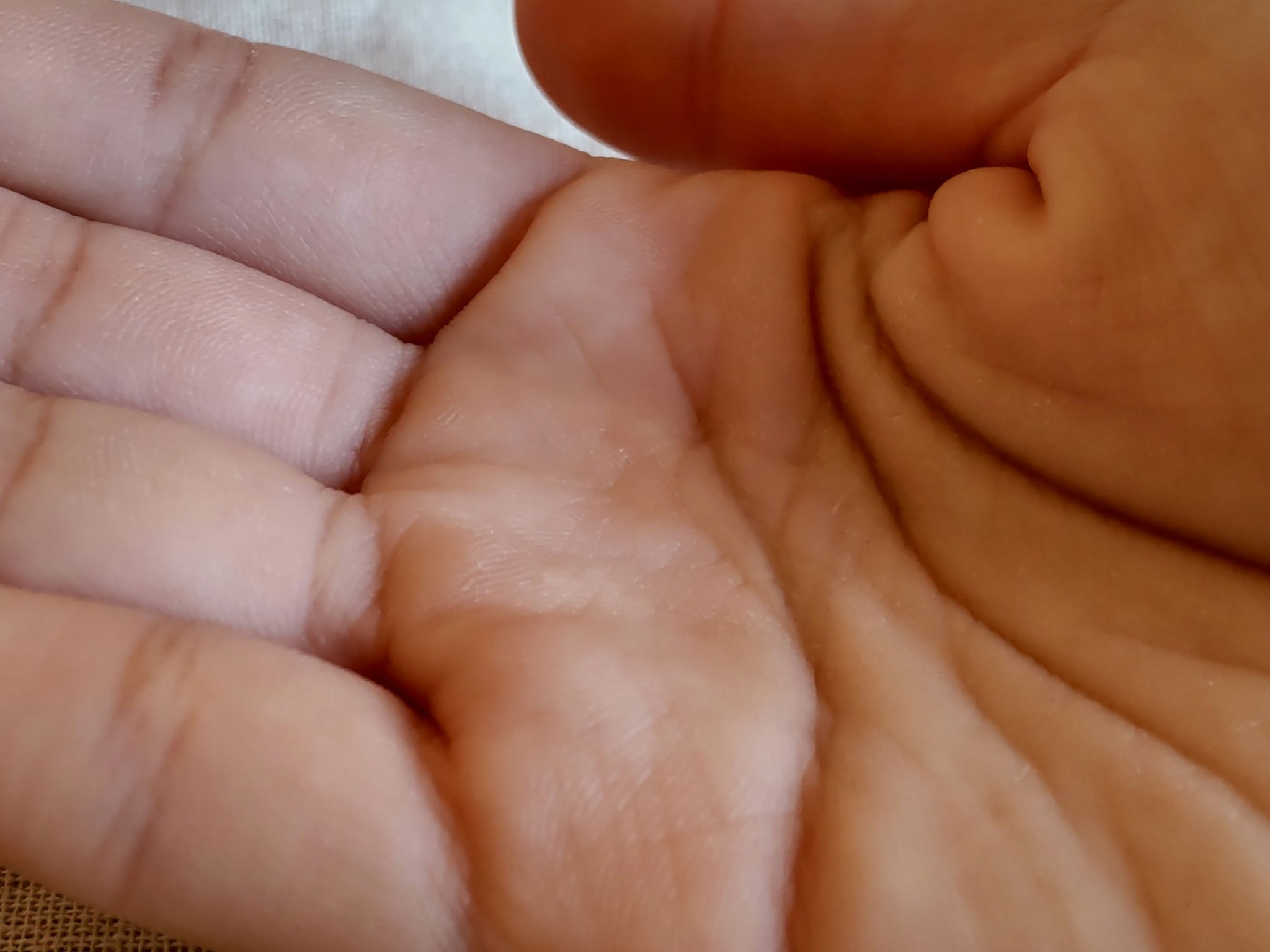 キャロット　ソリュージョンスキン/PAPA RECIPE/化粧水を使ったクチコミ（3枚目）