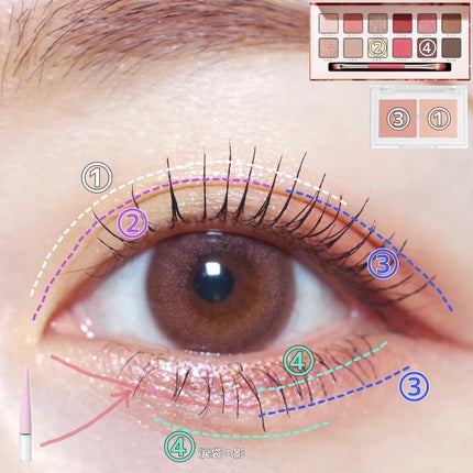 エクスプローラ12色 動物アイシャドウパレット/PERFECT DIARY/アイシャドウパレットを使ったクチコミ(5枚目)