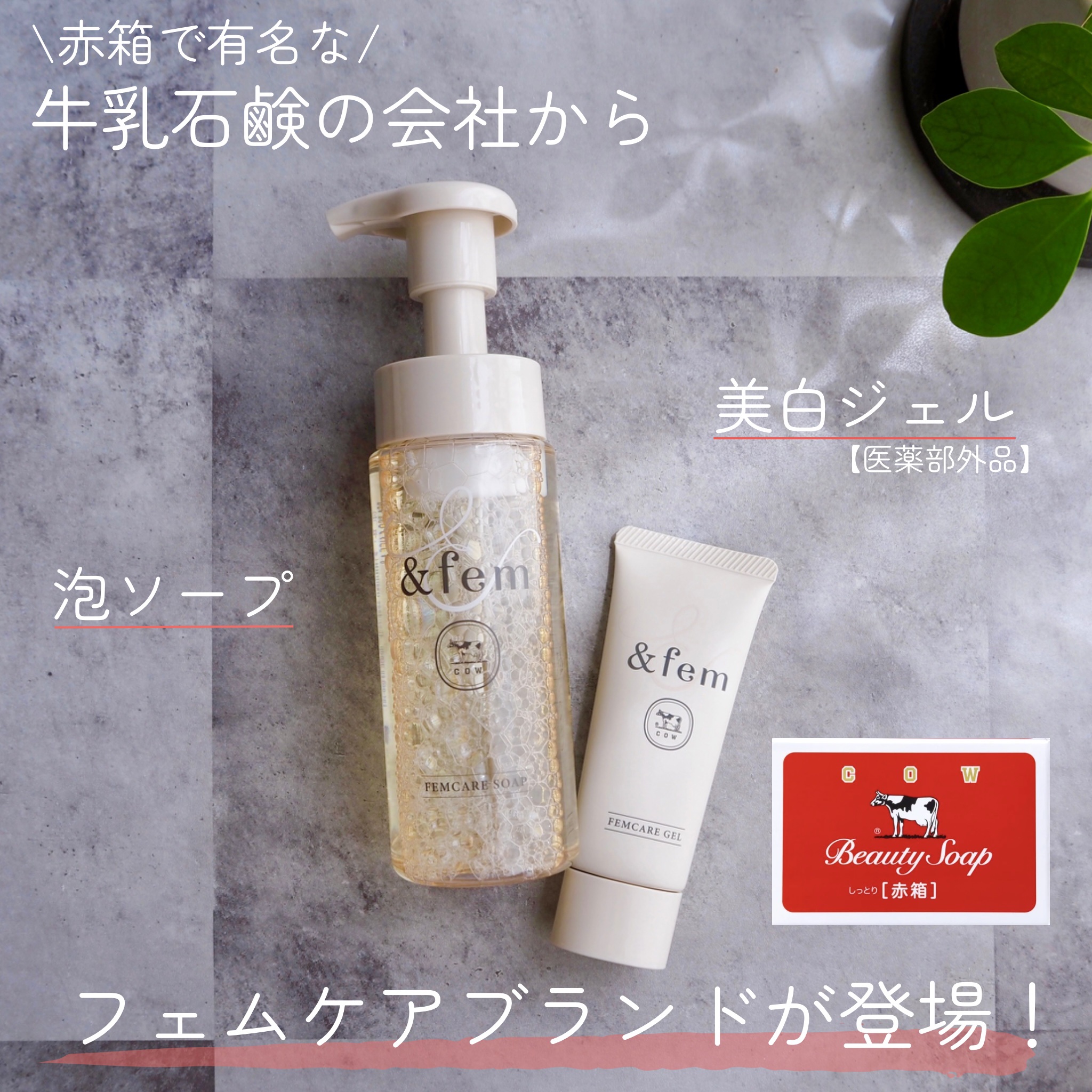 アンドフェム フェムケア泡ソープ/＆fem/デリケートゾーンケアを使ったクチコミ（1枚目）