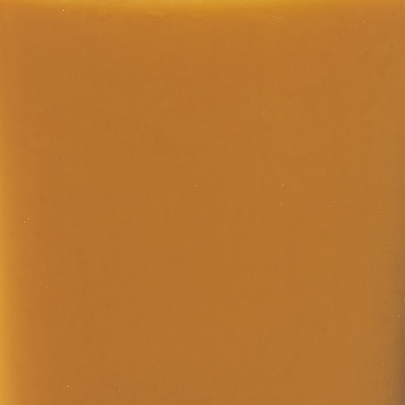 ネイル カラー ポリッシュ 161 蜜柑水 -MIKANSUI（限定色）