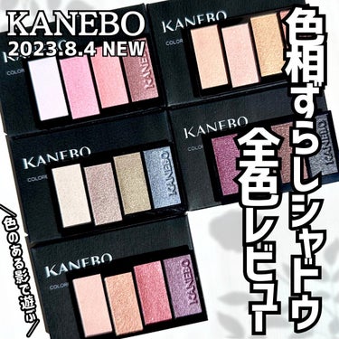 カラードシャドウ/KANEBO/アイシャドウパレットを使ったクチコミ（1枚目）