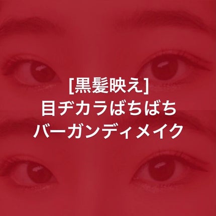セルフィーフィックスピグメント/Witch's Pouch/単色アイシャドウを使ったクチコミ(1枚目)