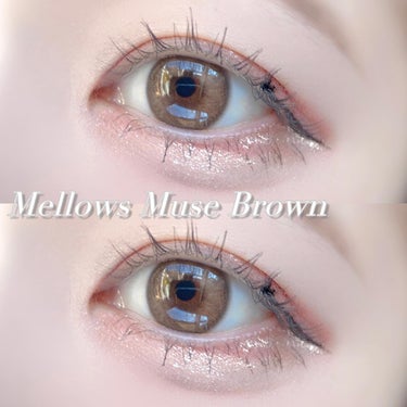 メローズワンデーミューズブラウン(Mellows 1day Muse Brown)/OLOLA/ワンデー（１DAY）カラコンを使ったクチコミ（9枚目）