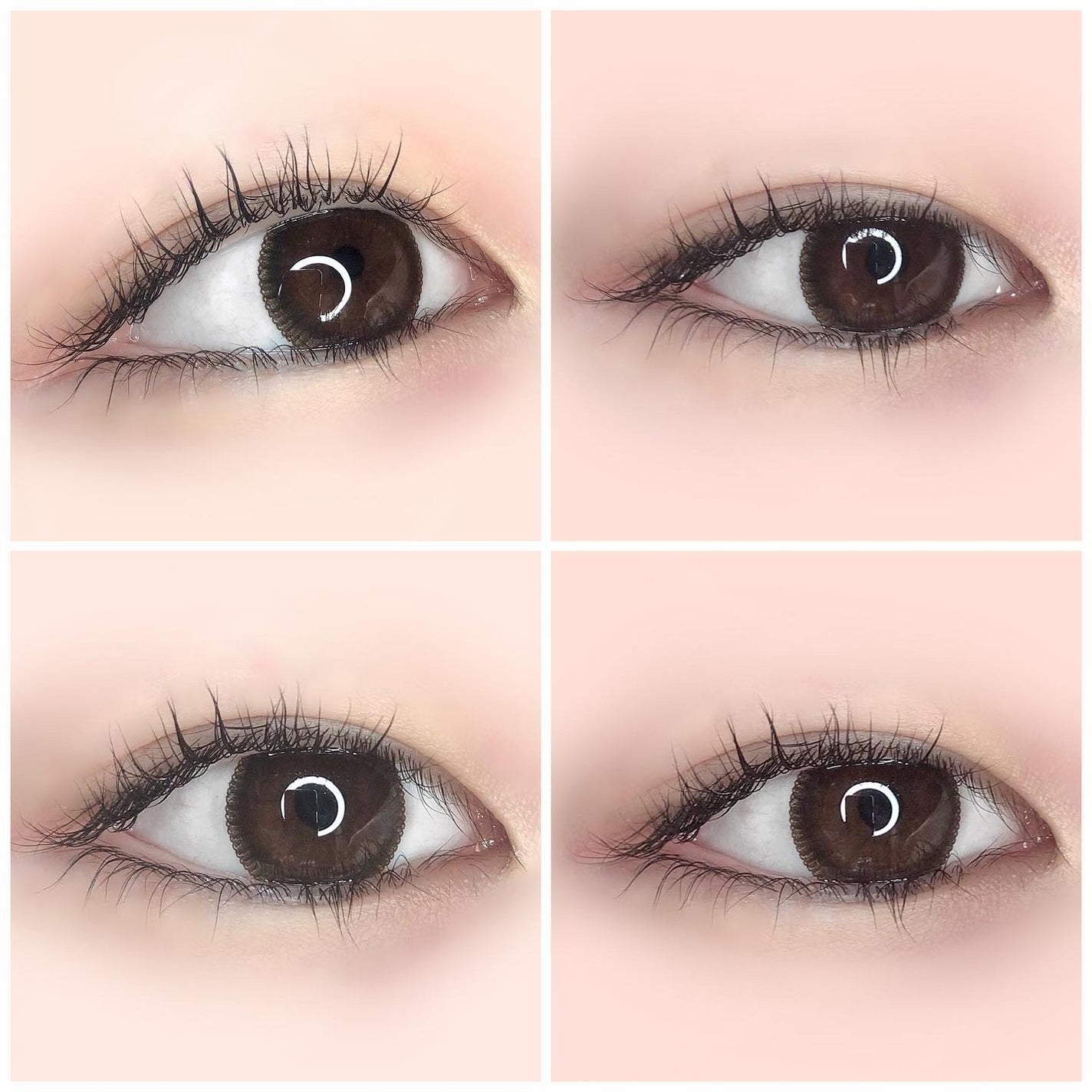 ꒰ঌNero໒꒱ @体調崩し中 on LIPS 「〜濃いブラウンでちゅるちゅるな瞳に〜🌼🤍レースみたいな縁が可愛..」(5枚目)