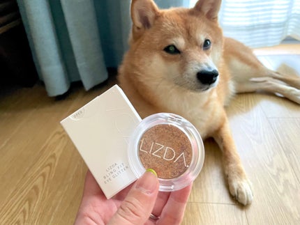 ブリング フィット アイグリッター/LIZDA/グリッターを使ったクチコミ(4枚目)