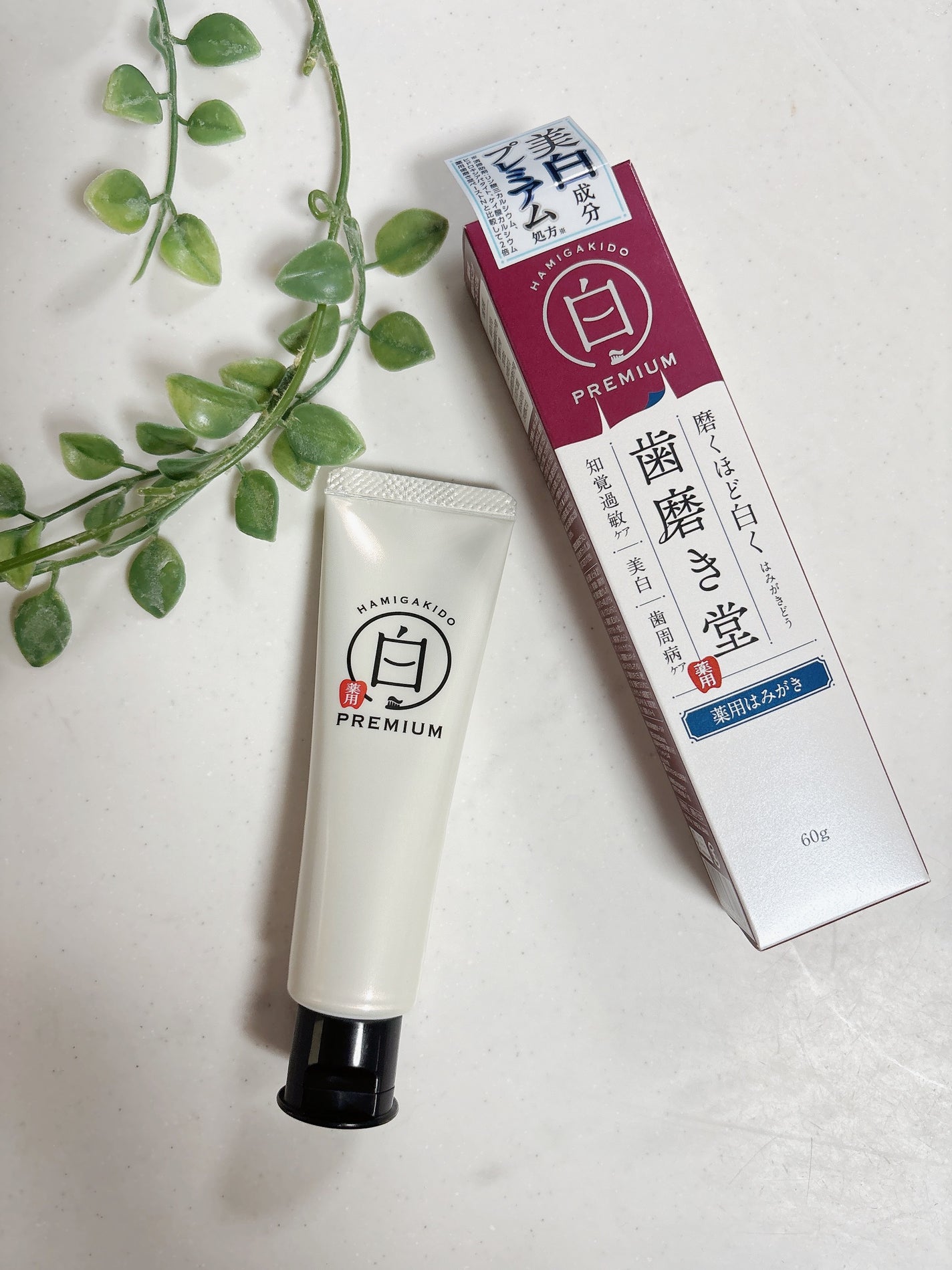 歯磨き堂 薬用ホワイトニングペースト プレミアム/歯磨き堂/歯磨き粉を使ったクチコミ(1枚目)