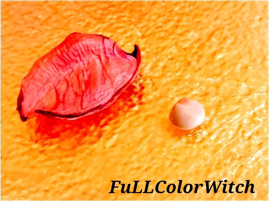 パステル on LIPS 「👑【THEFACESHOP】(ザフェイスショップ)『fmgtパ..」(3枚目)