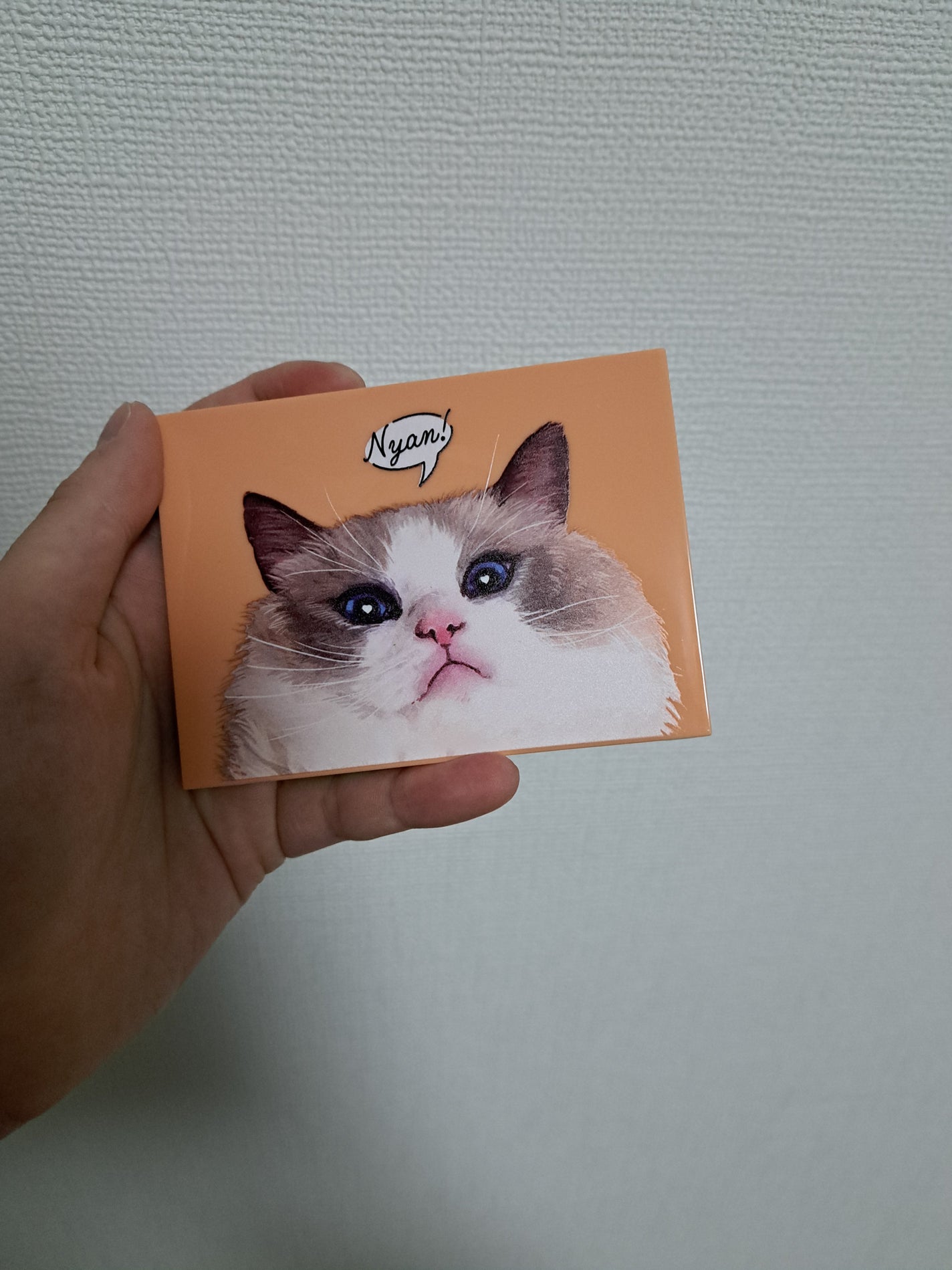 さすがにおじゃまたく氏 on LIPS 「Mary's猫のチョコレートみたいなメイクアップパレットBOO..」(1枚目)