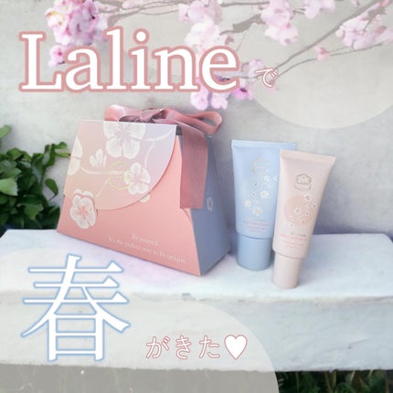 ボディクリーム ホワイトチェリーブロッサム/Laline/ボディクリームを使ったクチコミ(1枚目)