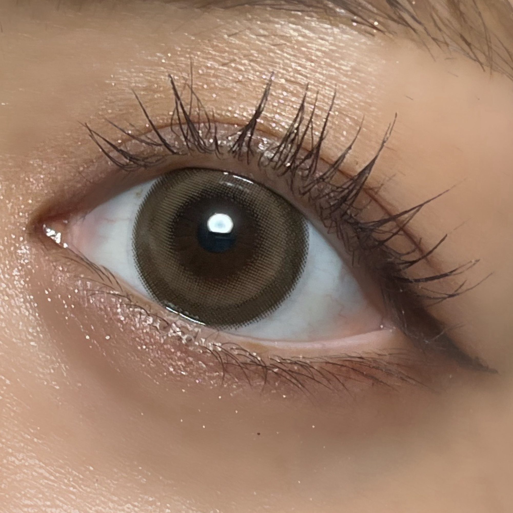 トリコニナル ワンデー/トリコニナル/ワンデー（１DAY）カラコンを使ったクチコミ（3枚目）