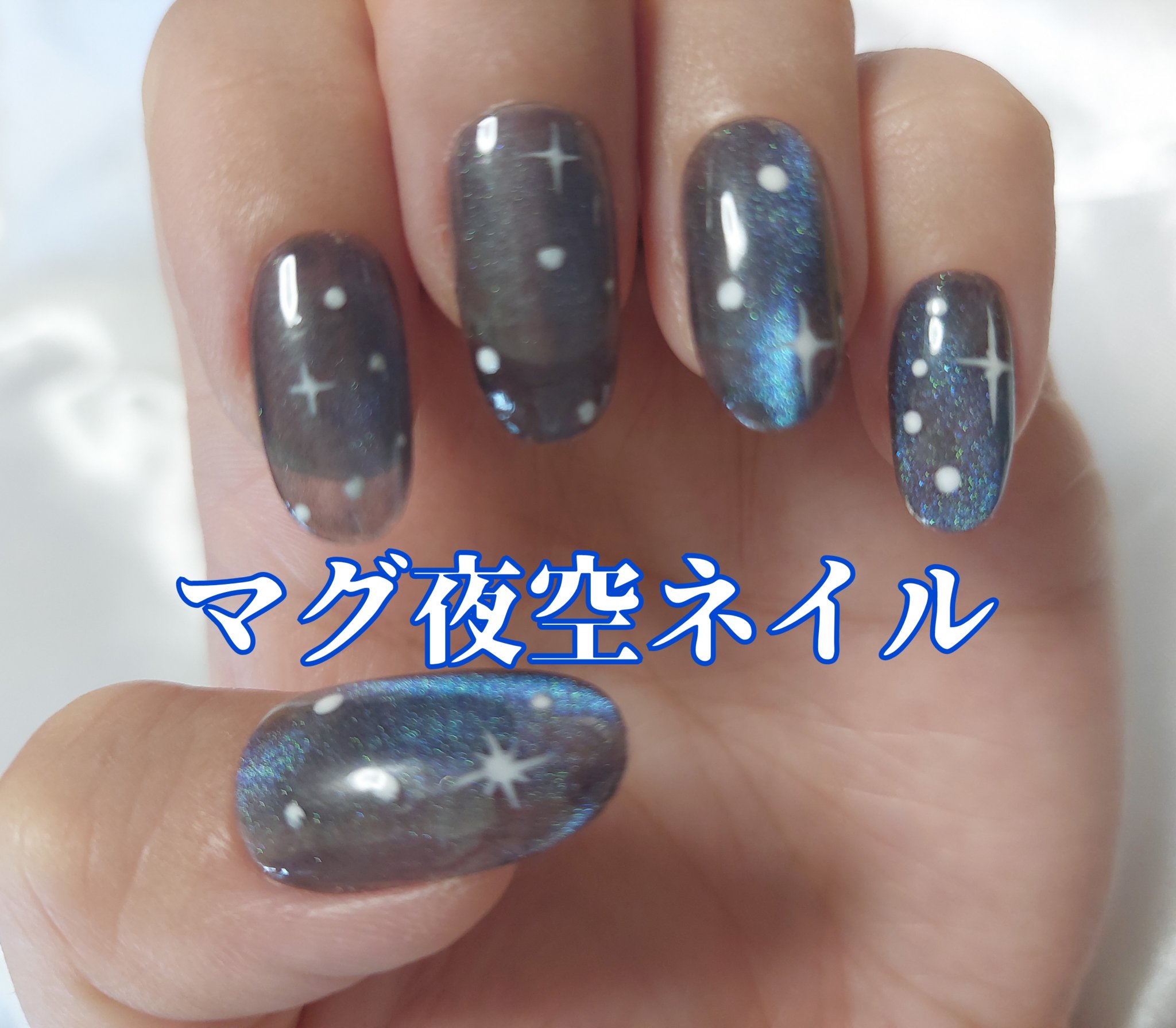 アニマルマグネットジェル/ネイル工房/ジェルネイルを使ったクチコミ（1枚目）