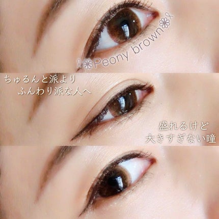 フラワーアイズR/株式会社ビューフロンティア/カラーコンタクトレンズを使ったクチコミ(1枚目)