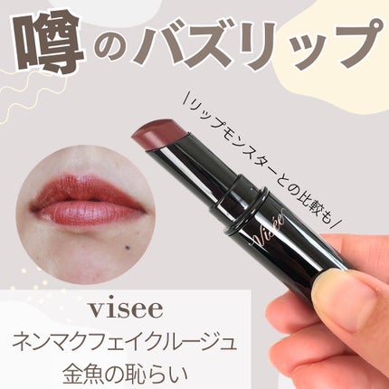 ネンマクフェイク ルージュ/Visée/口紅を使ったクチコミ(1枚目)