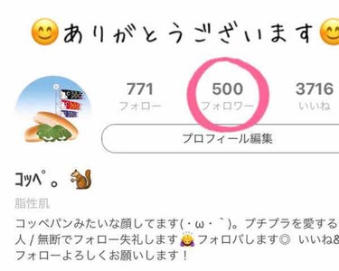 ｺｯﾍﾟ。🐿 on LIPS 「🍞感謝:フォロワーさん500人ありがとうございます&自己紹介🍞..」（1枚目）