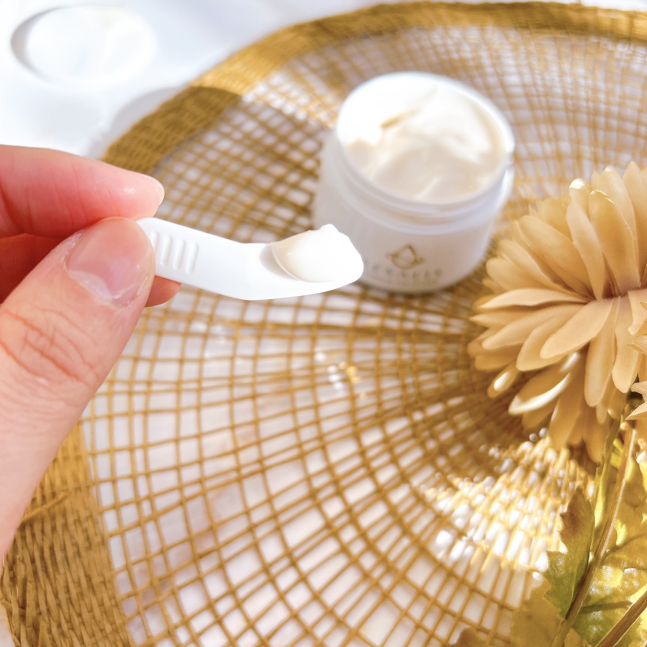 モイスチャージェルクリーム/SESALIS/フェイスクリームを使ったクチコミ（2枚目）