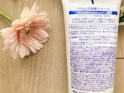 ハトムギ洗顔フォーム/株式会社イヴ/洗顔フォームを使ったクチコミ(4枚目)