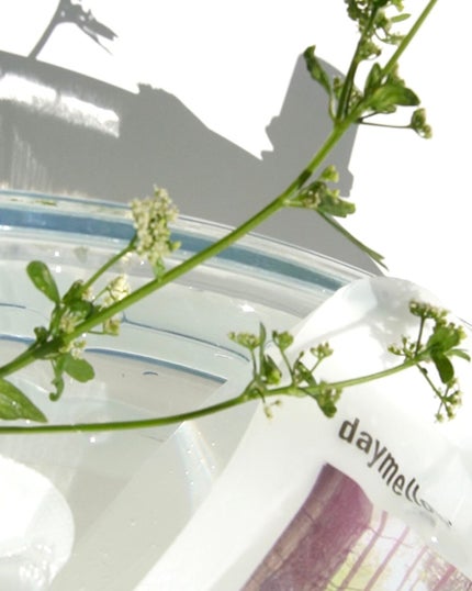 ドクダミリアルスージングジェル/daymellow’/ボディローションを使ったクチコミ(4枚目)