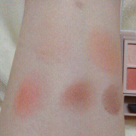 口紅 ケース D 1 D 1/ちふれ/その他化粧小物を使ったクチコミ（3枚目）