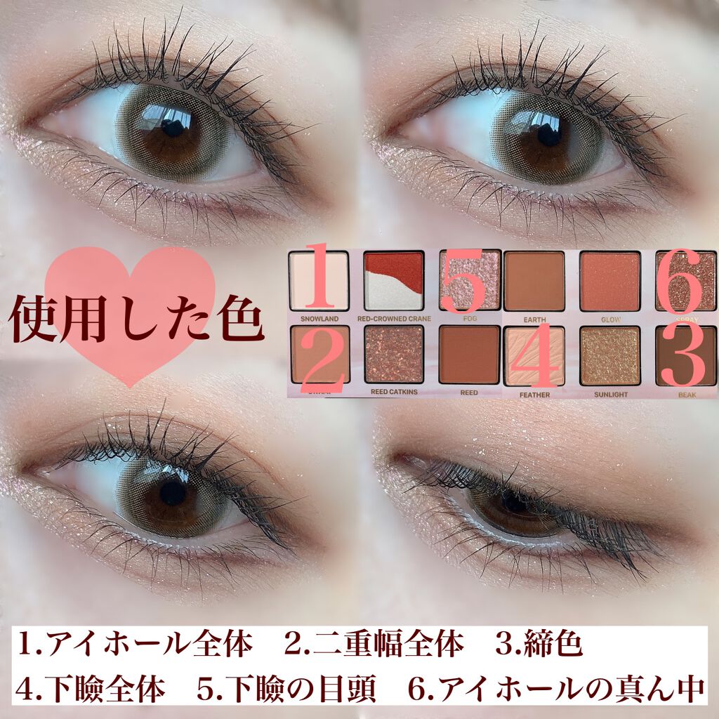 エクスプローラ12色 動物アイシャドウパレット/PERFECT DIARY/アイシャドウパレットを使ったクチコミ(5枚目)