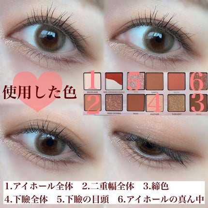 エクスプローラ12色 動物アイシャドウパレット/PERFECT DIARY/アイシャドウパレットを使ったクチコミ(5枚目)