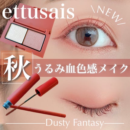エテュセ アイエディション(マスカラ)/ettusais/マスカラを使ったクチコミ(1枚目)
