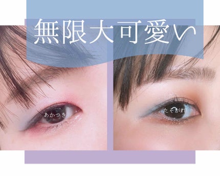 Venus Marble アイシャドウキャットシリーズ/Venus Marble/アイシャドウパレットを使ったクチコミ(2枚目)