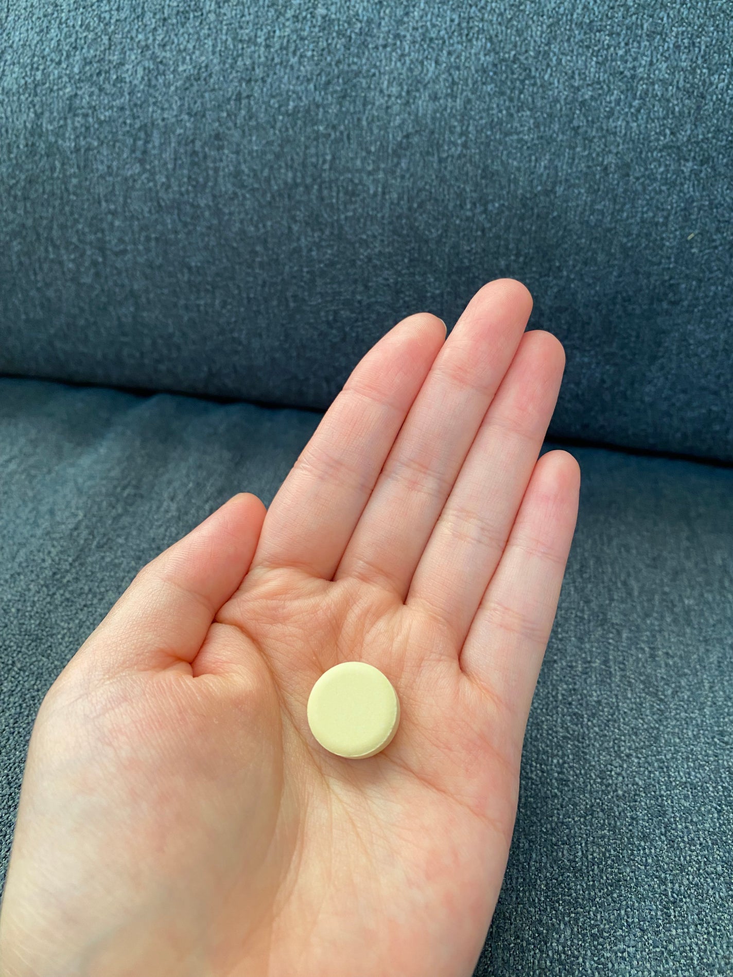 2Protein アドバンスト プラントベース プロテイン タブレット/2foods/その他プロテインを使ったクチコミ(2枚目)