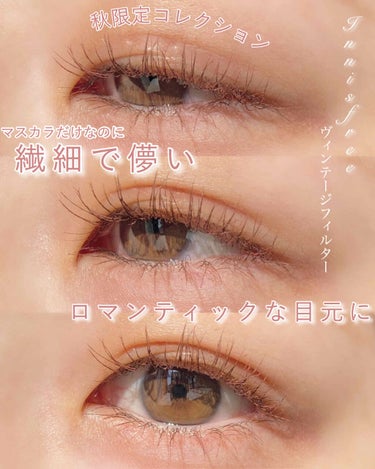 innisfree ヴィンテージ フィルター カラーマスカラ Vintage Filter Editionのクチコミ「❁︎❁︎マスカラだけで儚げな目元に❁︎❁︎



Innisfreeの秋限定コレクション‪‪𓂃.....」（1枚目）