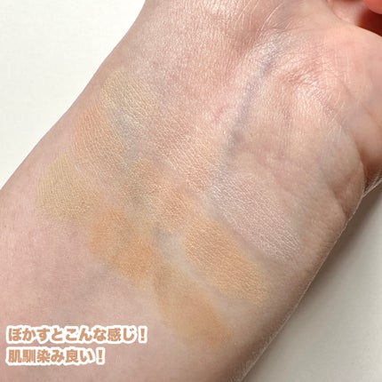 プロコンシーラーパレット/dasique/パレットコンシーラーを使ったクチコミ(5枚目)