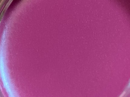 リップ&チーク ボーム N°1 ドゥ シャネル/CHANEL/口紅を使ったクチコミ(9枚目)