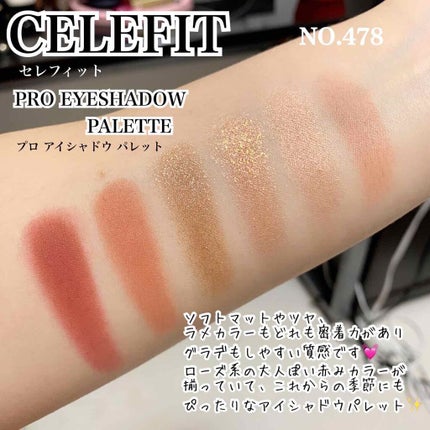 プロアイシャドウパレットセシル/CELEFIT/アイシャドウパレットを使ったクチコミ(3枚目)