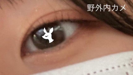 TOPARDS 1day/TOPARDS/ワンデー(1DAY)カラコンを使ったクチコミ(2枚目)