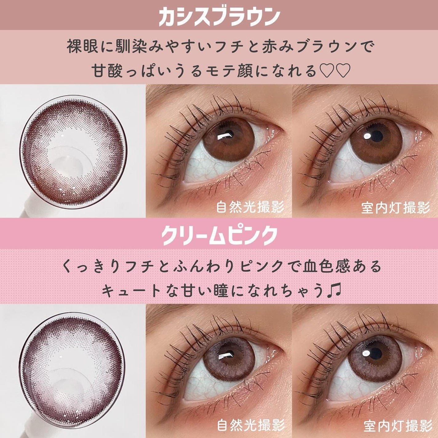 Angelcolor Bambi Series 1day /AngelColor/ワンデー(1DAY)カラコンを使ったクチコミ(5枚目)